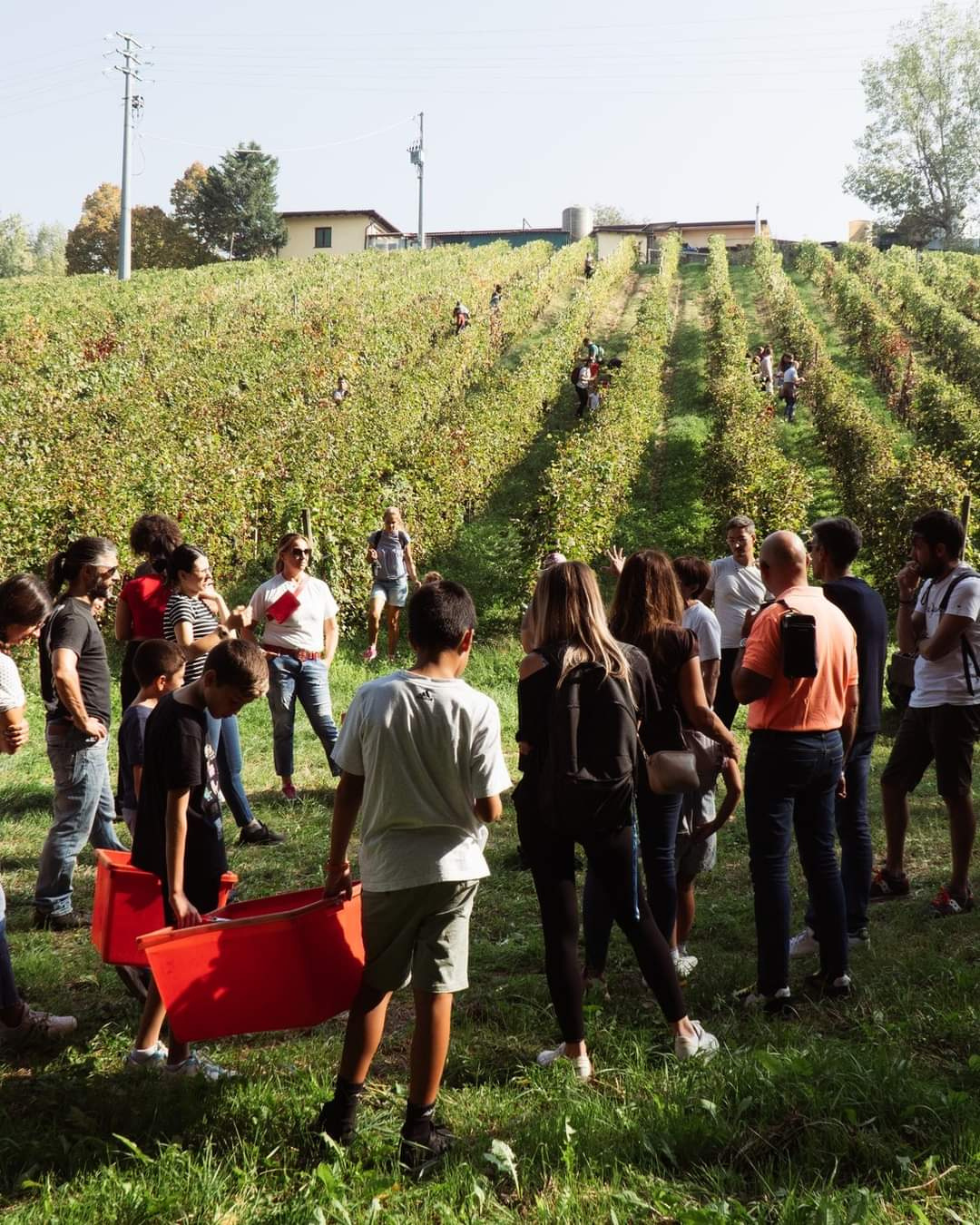 Team aziendale tra i filari in autunno